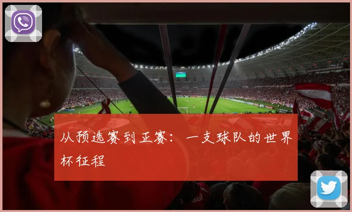 从预选赛到正赛：一支球队的世界杯征程
