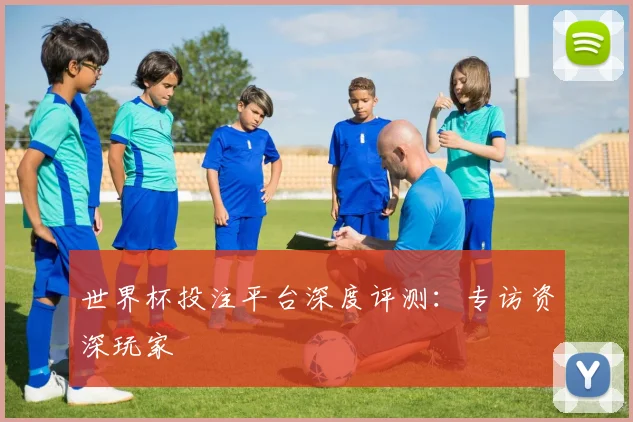 世界杯投注平台深度评测：专访资深玩家