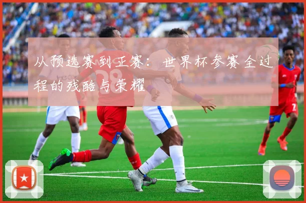 从预选赛到正赛：世界杯参赛全过程的残酷与荣耀