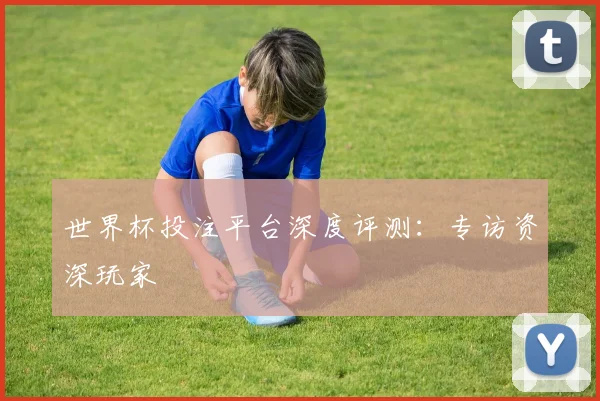 世界杯投注平台深度评测：专访资深玩家