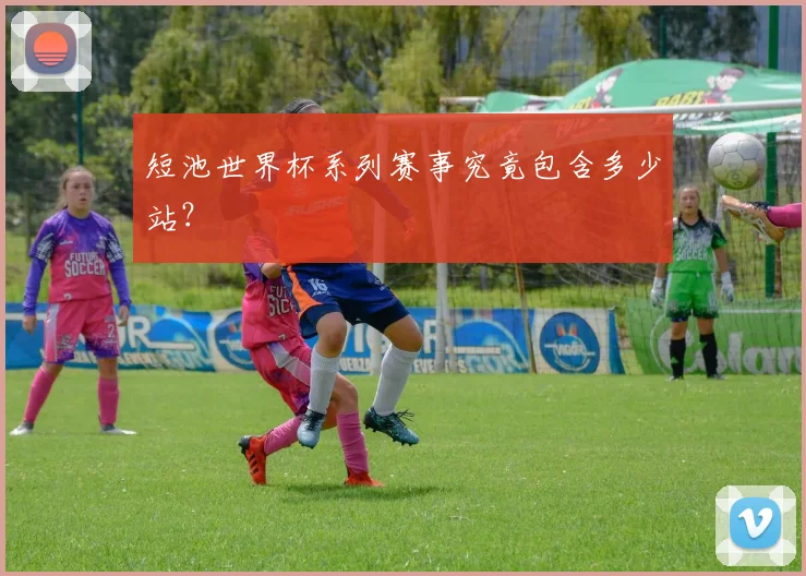 短池世界杯系列赛事究竟包含多少站?