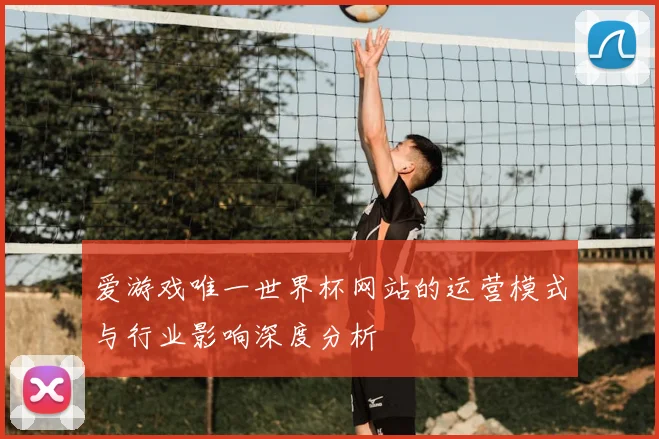 爱游戏唯一世界杯网站的运营模式与行业影响深度分析