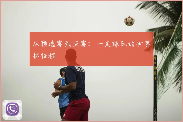 从预选赛到正赛：一支球队的世界杯征程